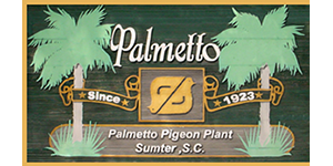 Palmetto Pigeon Plant