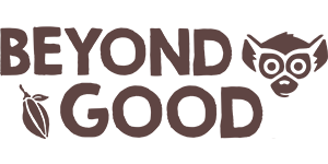 Beyond Good