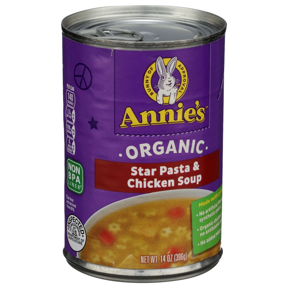 Annies Homegrown Organic Star Pasta And Chicken Soup, 14 Ounce -- 12 Per Case