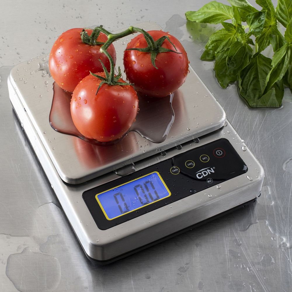 Cdn Submersible Scale, 22 Pound