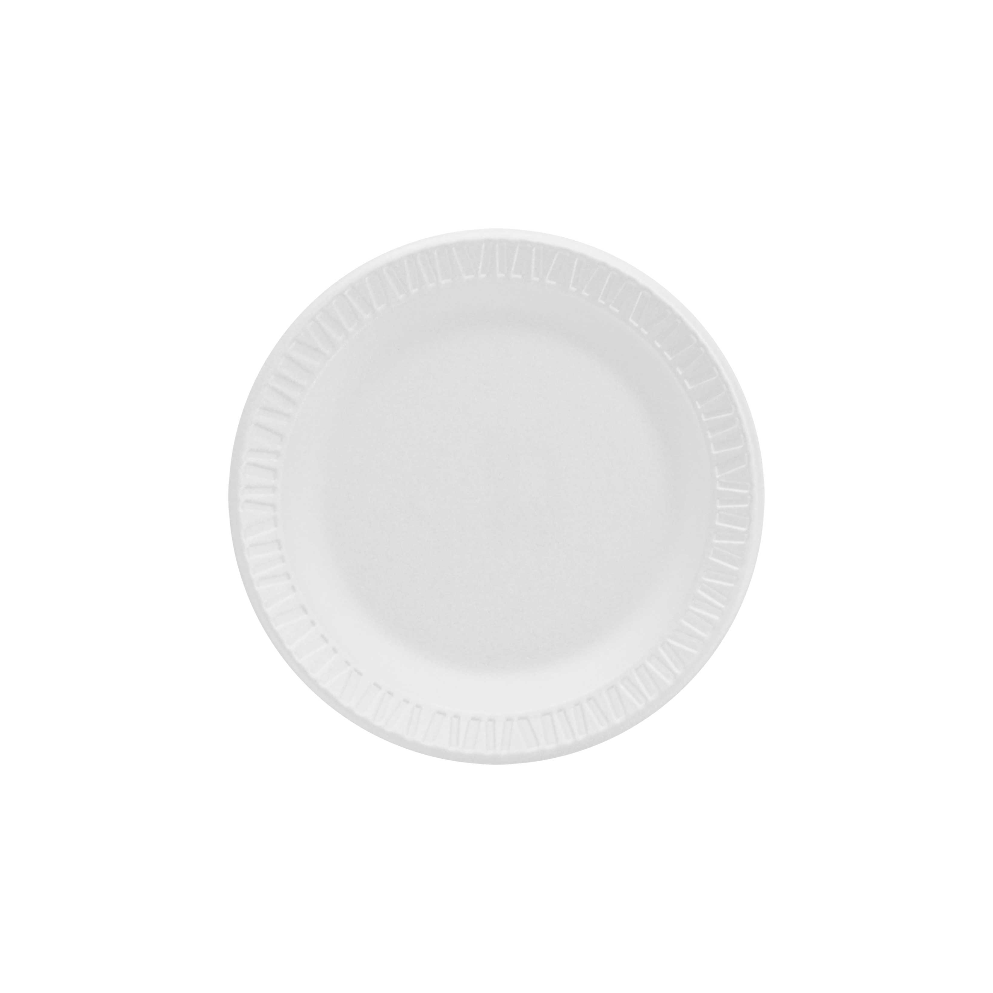 Concorde Foam Plate, 6 Concorde Foam Plate, 6