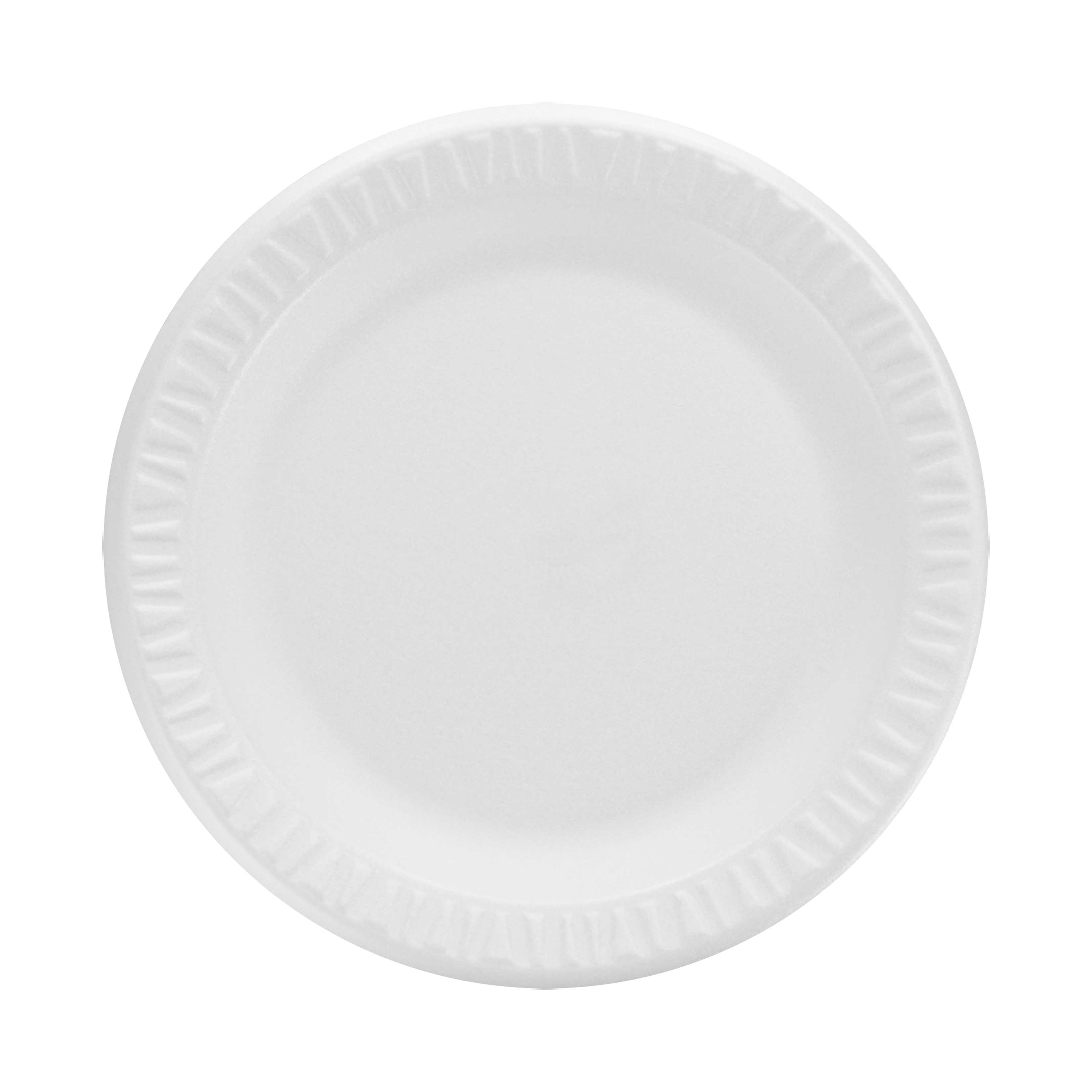 Concorde Foam Plate, 9 Concorde Foam Plate, 9