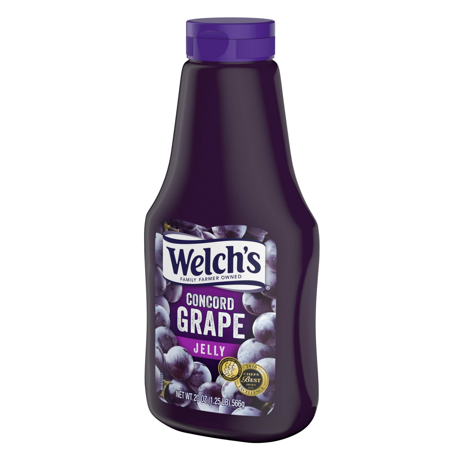 Welch's Concord Grape Jelly, 20 Ounce -- 12 Per Case