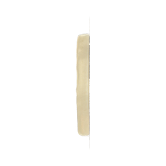 Sargento Smokehouse String Cheese Low Moisture Part Skim Mozzarella Cheese, 0.833 Ounce -- 96 Per Case