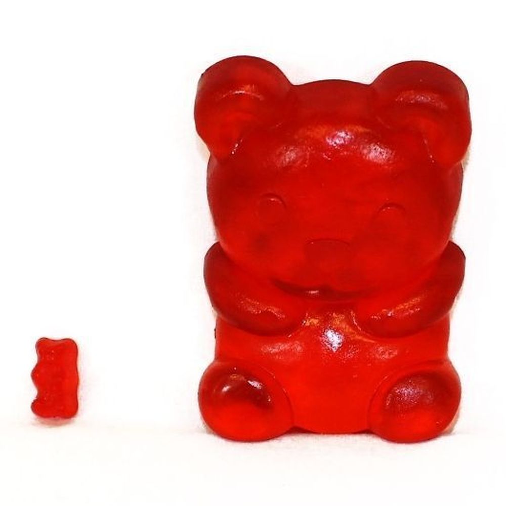 格安SALEスタート！ Bear Beary Gummy Yummy Big Gummy 12 Carton, Display - Candy 着物・浴衣