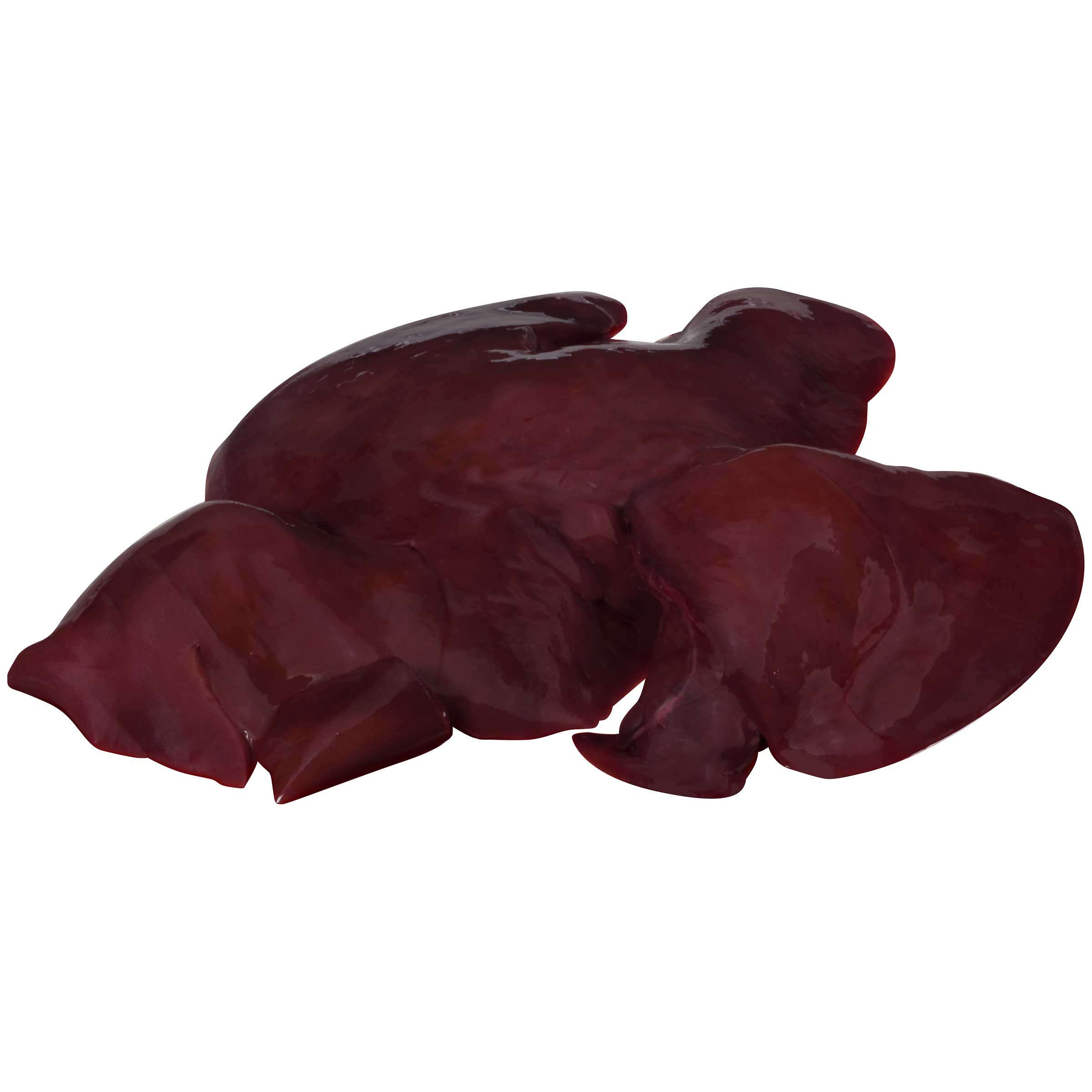 Product gallery 348457010