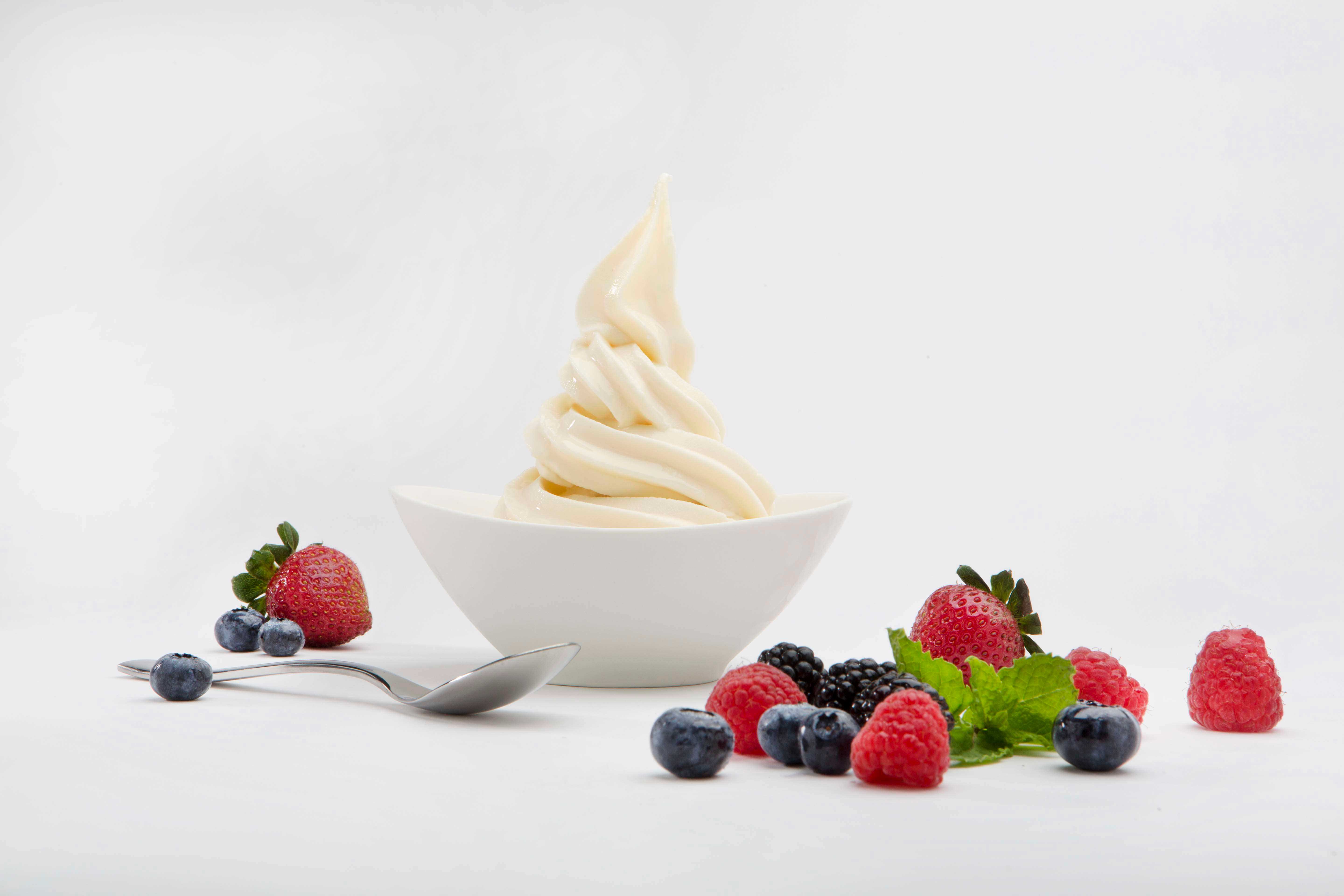 Frostline Non-dairy Vanilla Soft Serve Mix, 6 Pound -- 1 Each