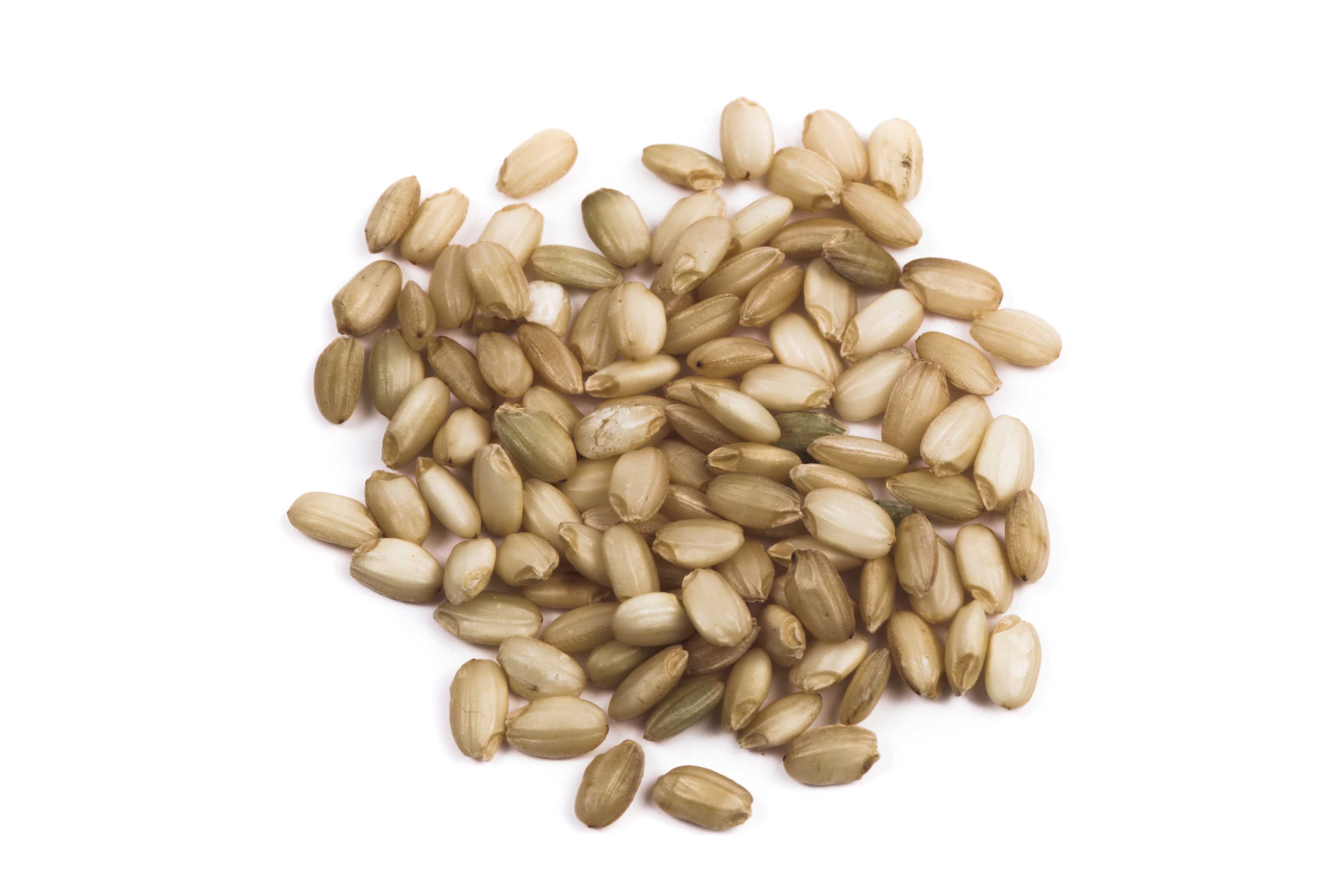 Lundberg Eco Farmed Sweet Brown Rice, 25 Pound