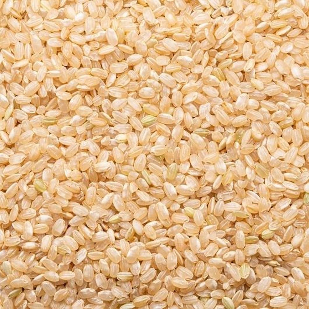 Lundberg Family Farms Organic Short Grain Brown Rice, 25 Pound