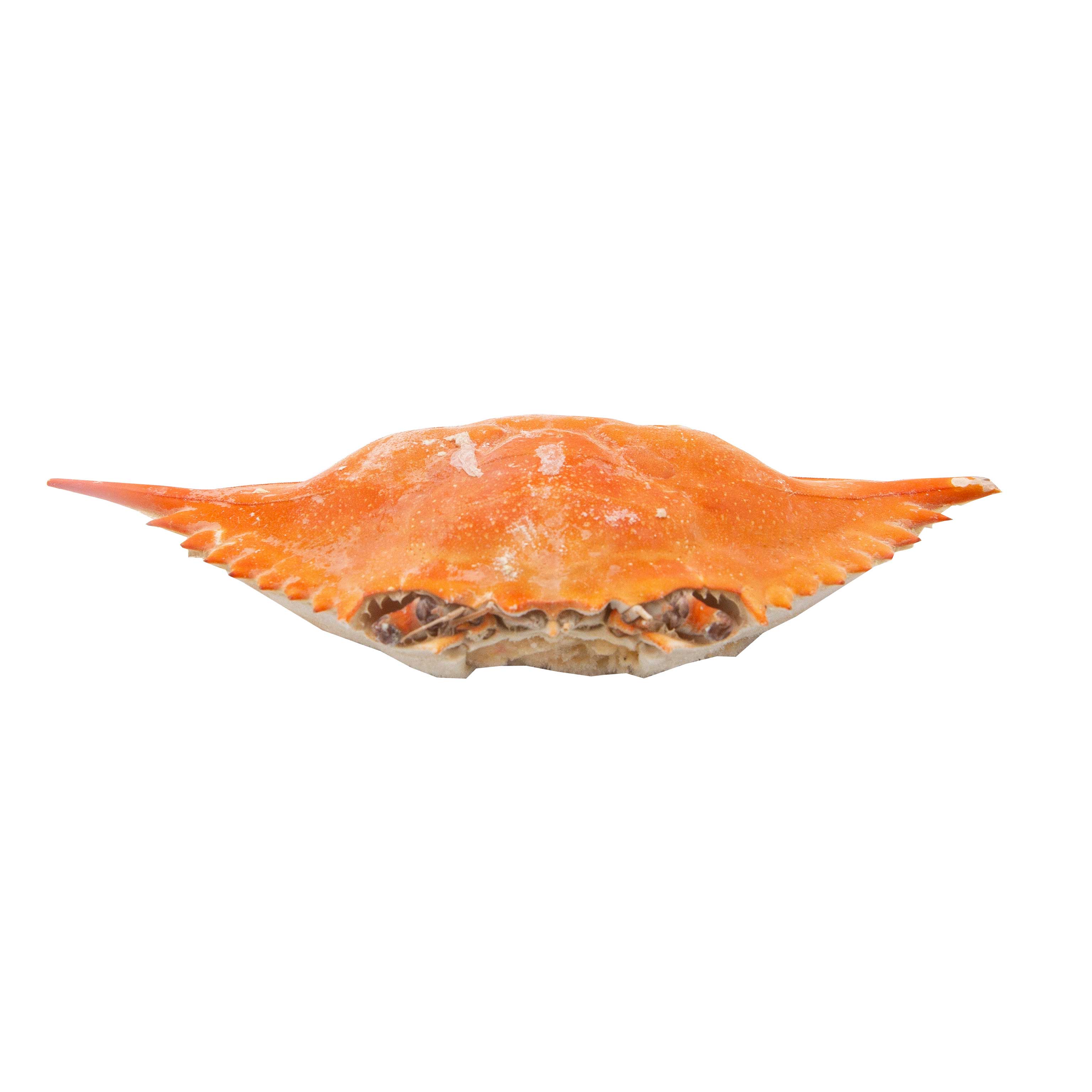 Product gallery 285294082