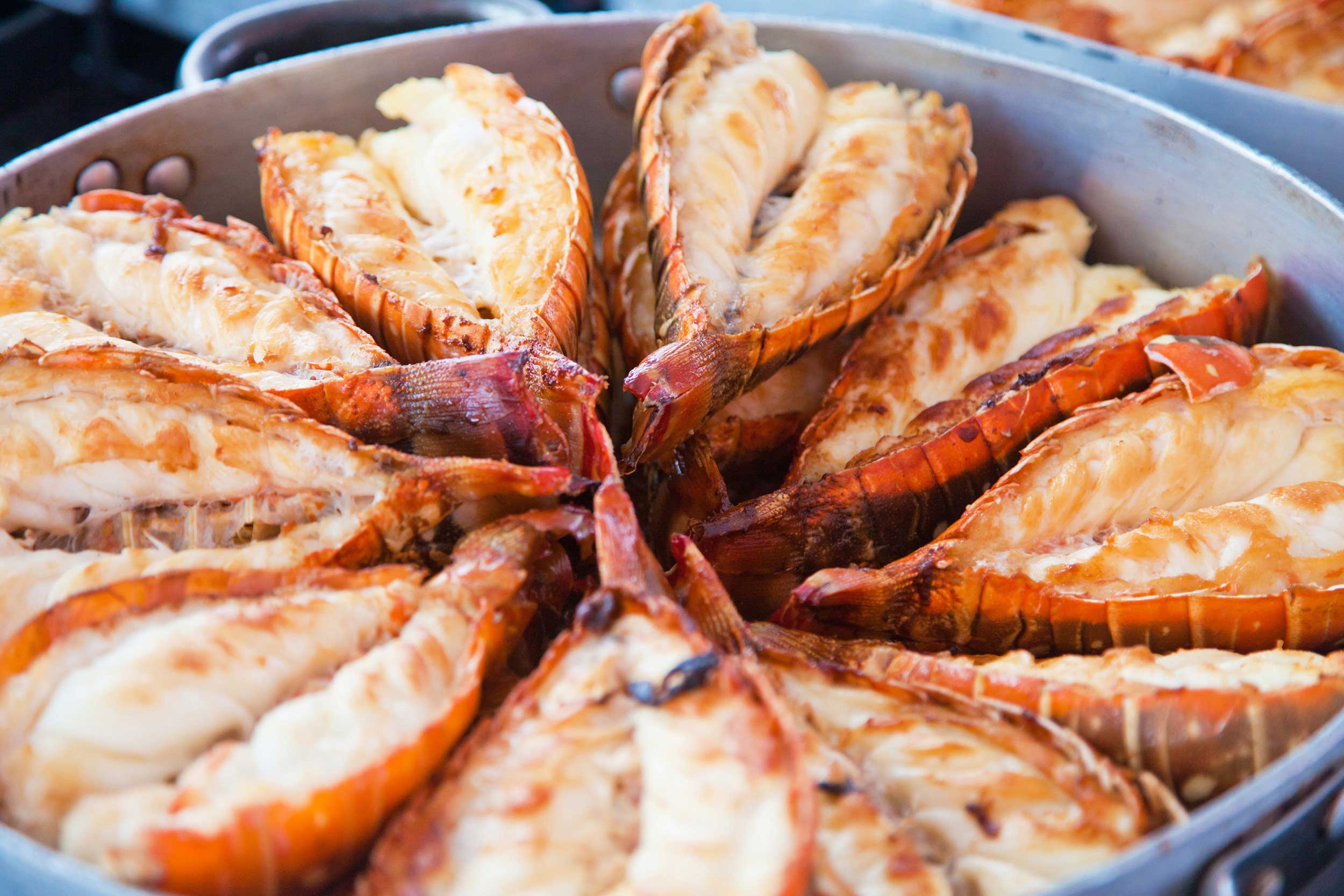Packers Warm Water Lobster Tail, 10 Pound