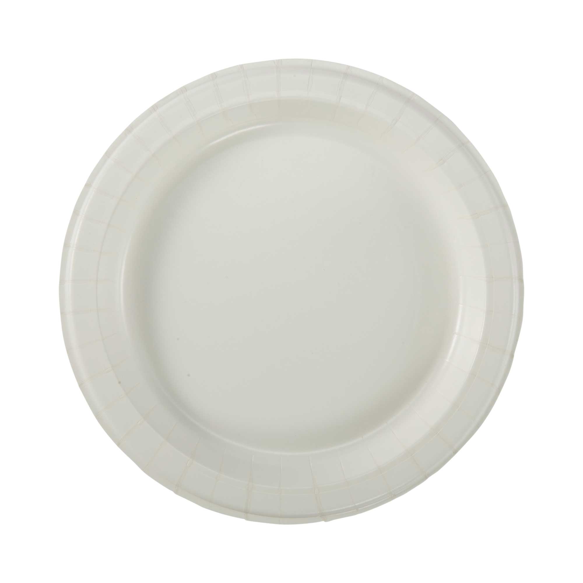 Dixie Ultra White Heavy Weight Plate Case | FoodServiceDirect