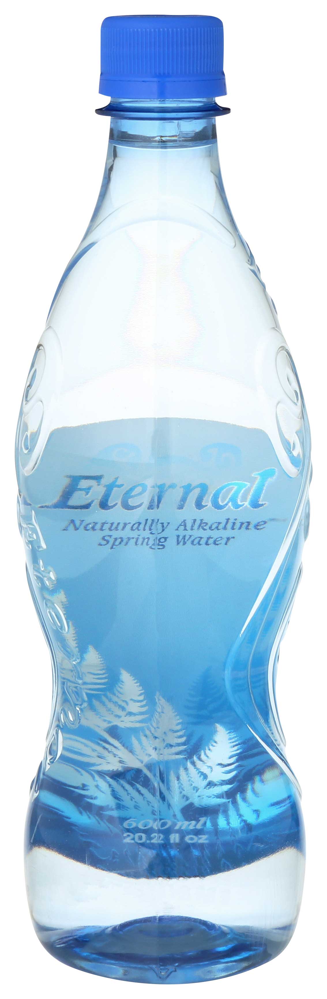 Eternal Artesian Water, 600 Ml -- 24 Per Case