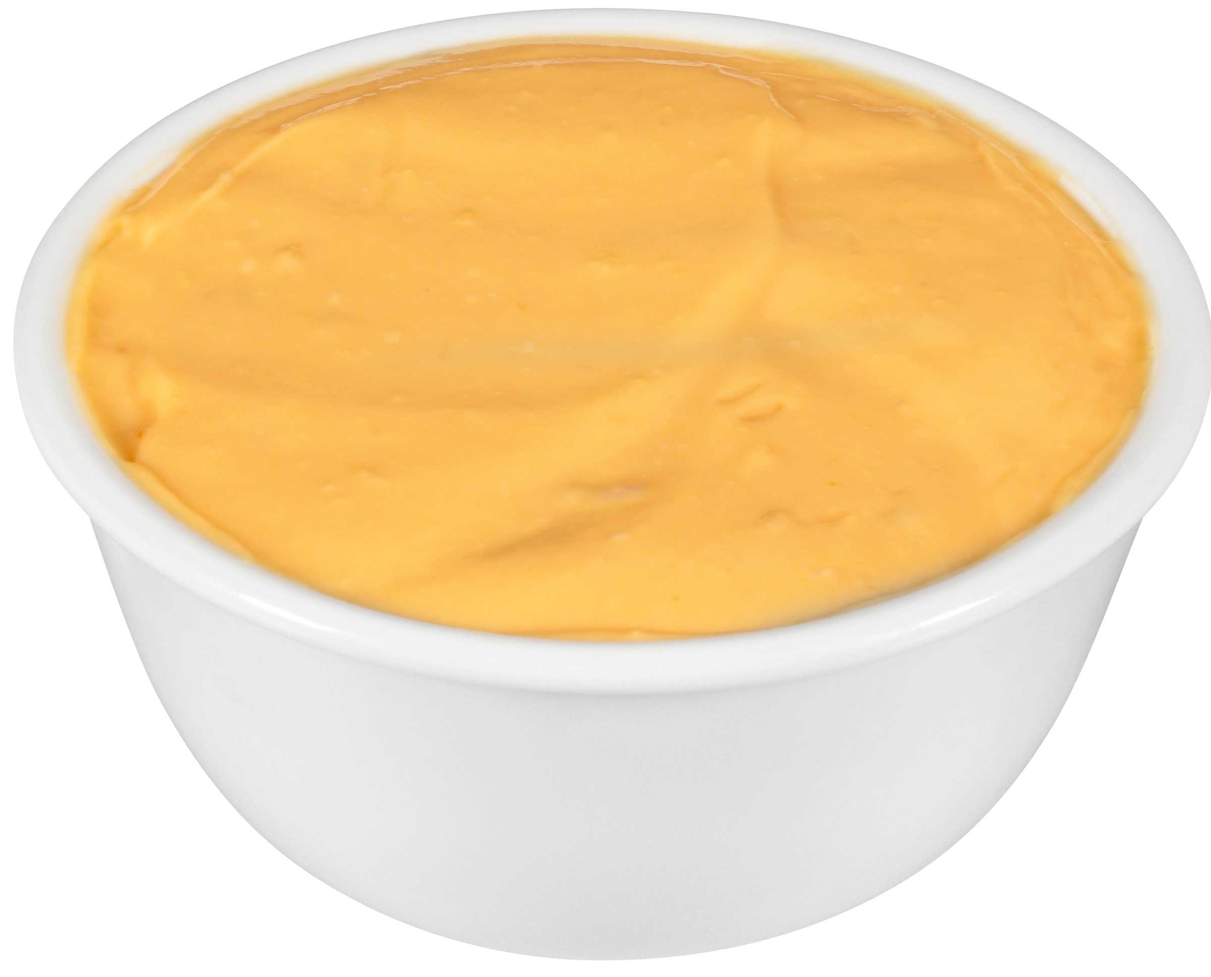 Land O Lakes Fanfare Jalapeno Cheese Sauce, 6 Pound -- 6 Per Case