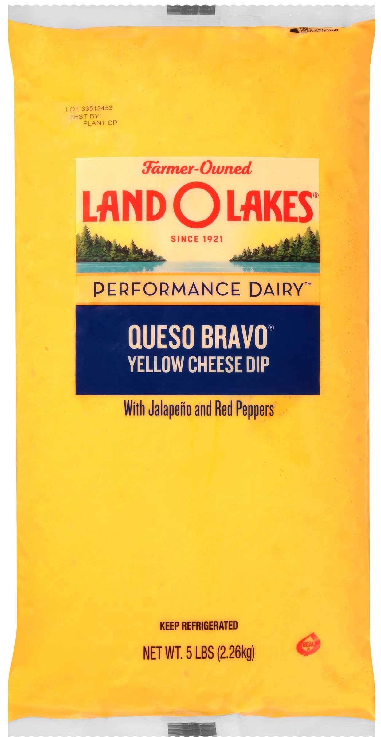 Land O Lakes Queso Bravo Yellow Cheese DipCase FoodServiceDirect