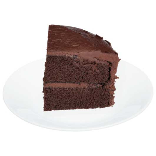 最高 Rich's 5 Inch Chocolate Fudge Double Layer Cake Case 香水(ユニセックス)