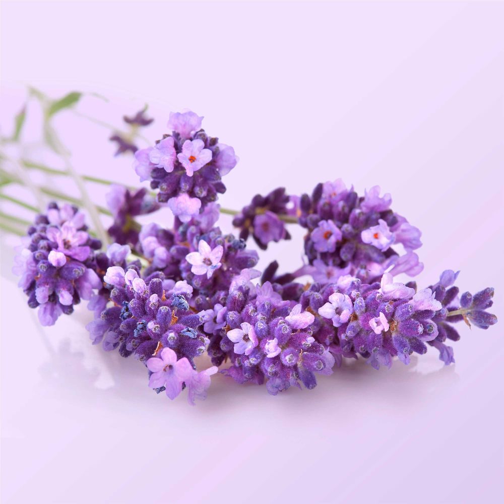 Product gallery 393400897