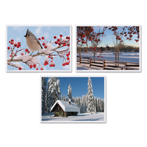 Hoffmaster Three Different Scenes Winter MultiPack Placemats, 10 x 14