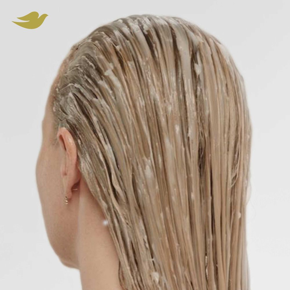 Product gallery 302243351