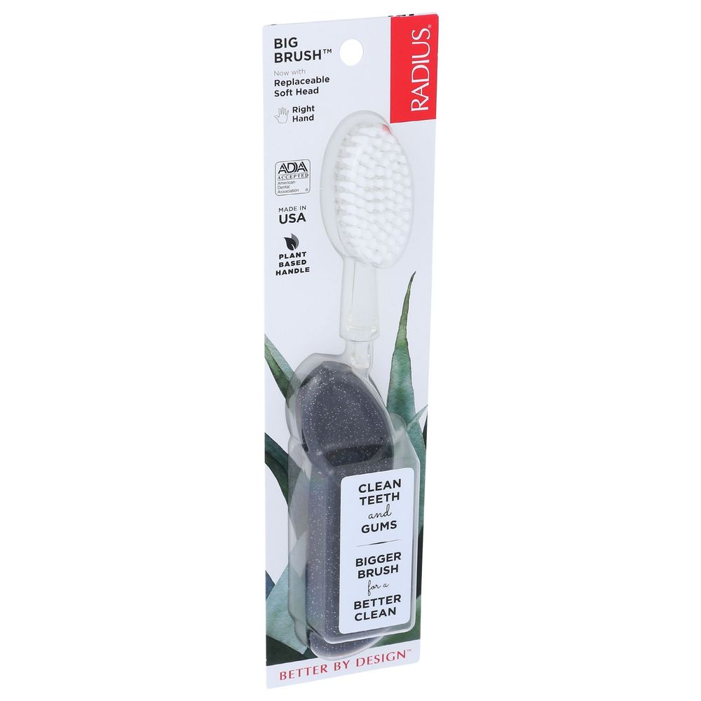 Radius Big Brush Soft Bristle Right Hand Toothbrush -- 6 Per Case
