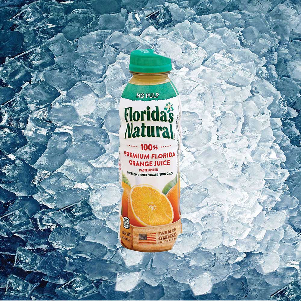 Florida's Natural Orange Juice, 14 Fluid Ounce -- 12 Per Case