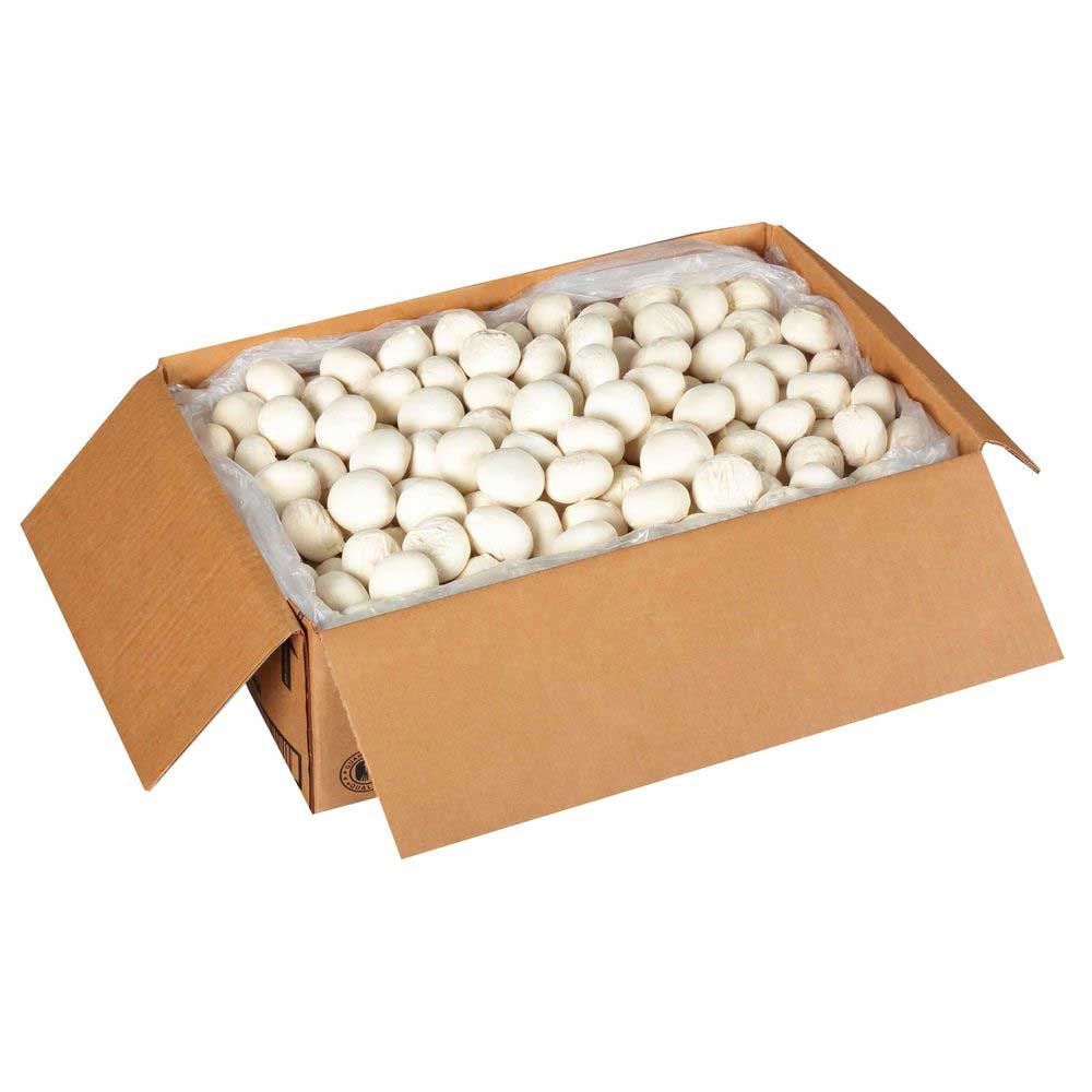 Product gallery 746587236