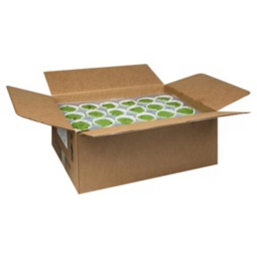 Multifoods Best Brands Pistachio Muffin Batter, 4.5 Ounce -- 96 Per Case