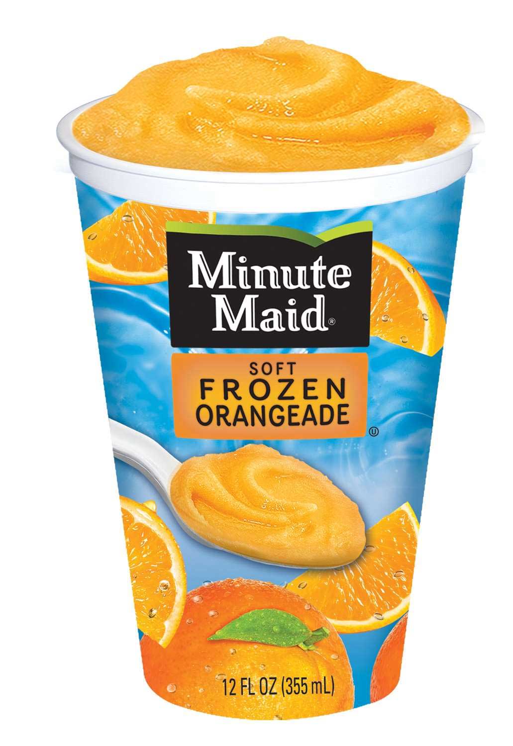 Minute Maid Soft Orangeade Drink, 12 Ounce -- 12 per case