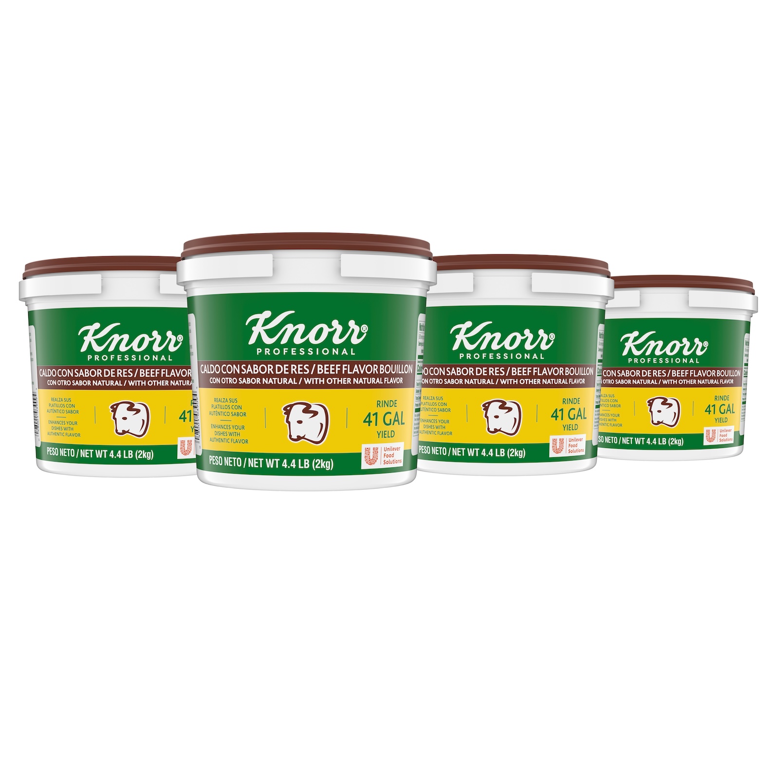 Knorr Professional Caldo De Res Beef Bouillon Base, 4.4 pound -- 4 per case