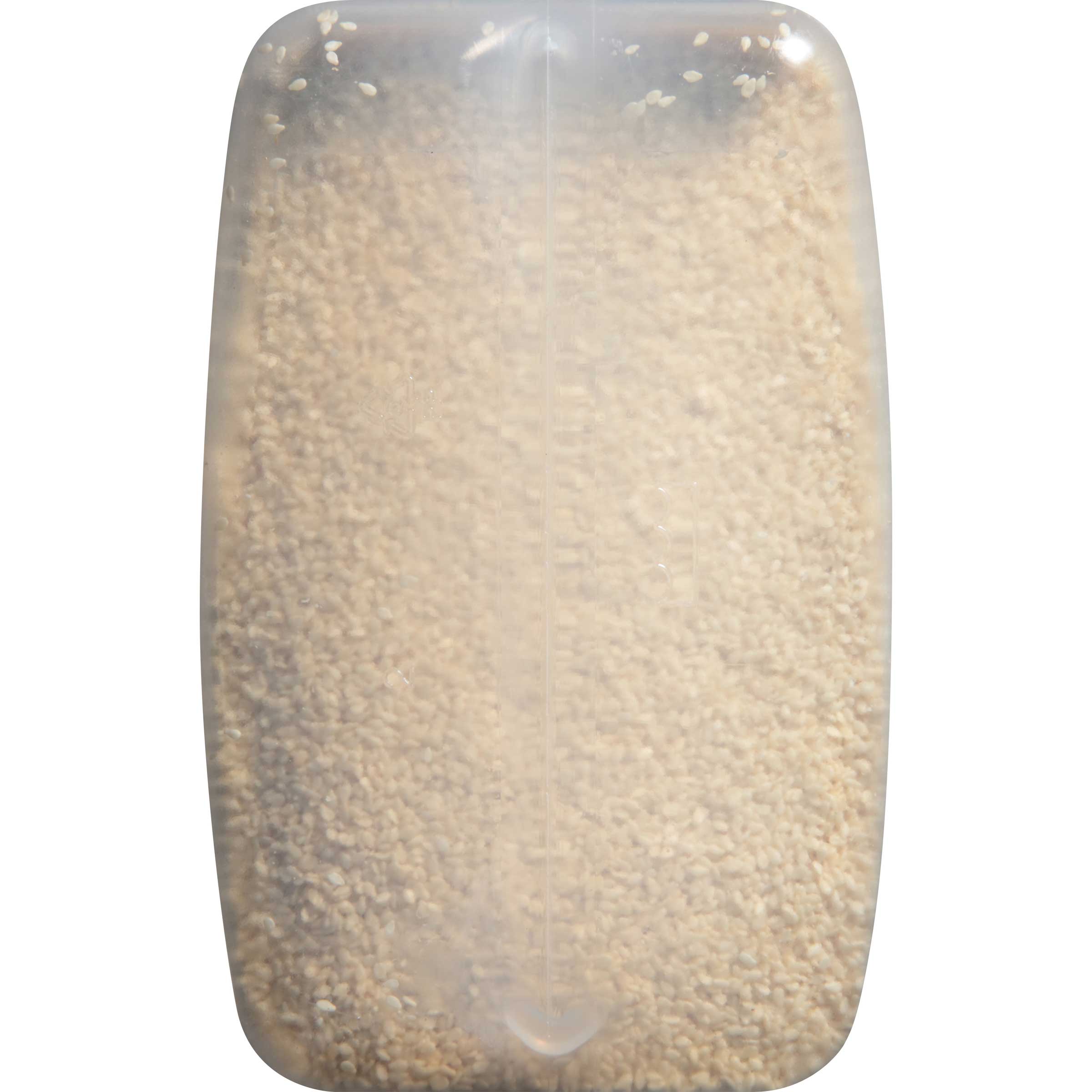 Mccormick Culinary White Sesame Seeds, 5 Pound -- 1 Each