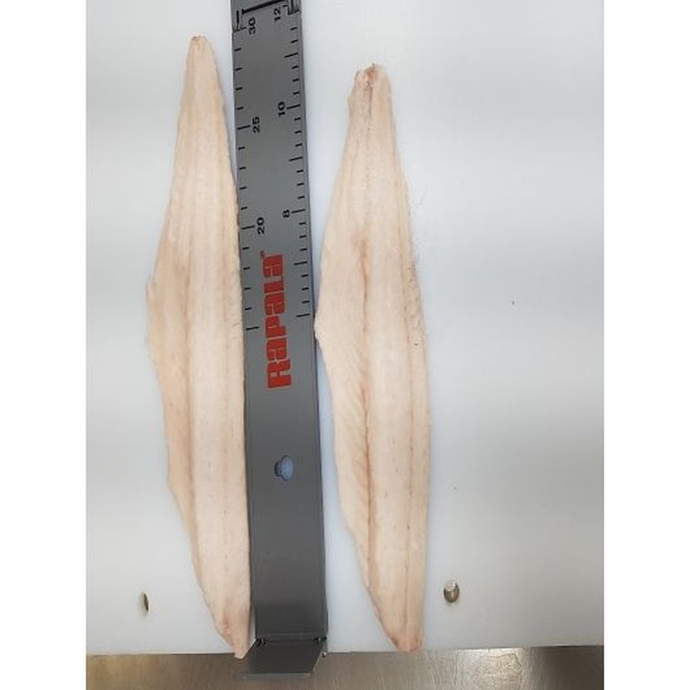 Freshwater Marketing 6-8 Ounce Skinless Walleye Fillets, 11 Pound