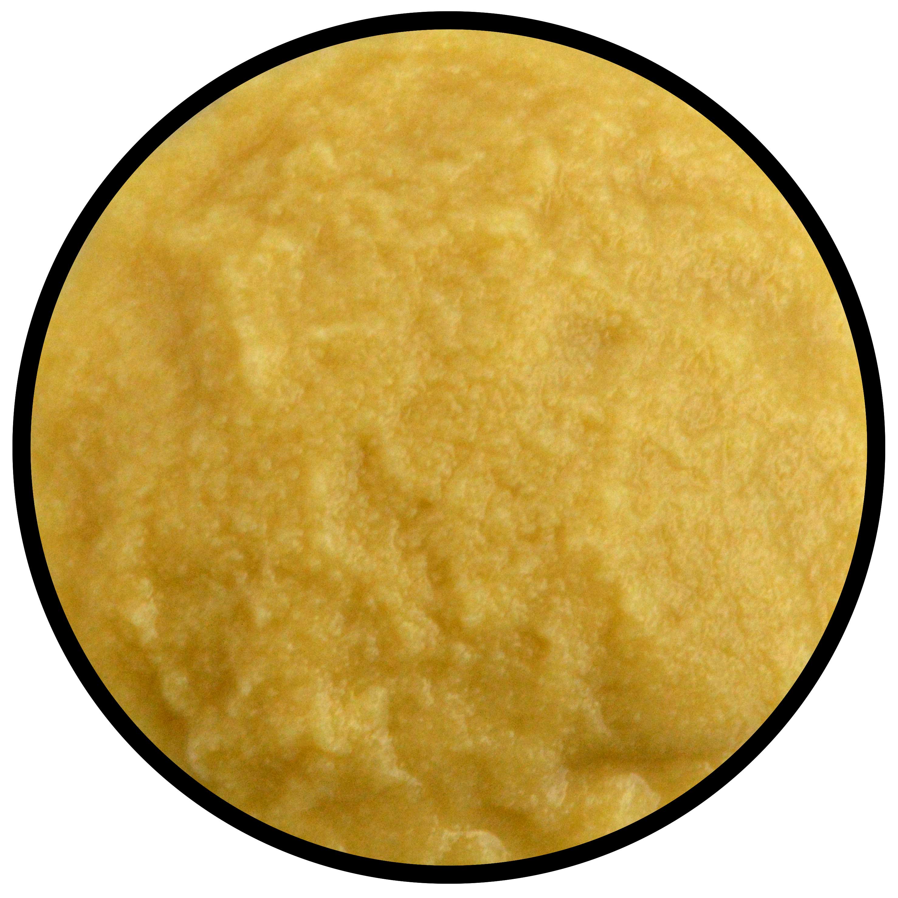 Tulkoff Ginger Puree, 32 Ounce -- 6 Per Case