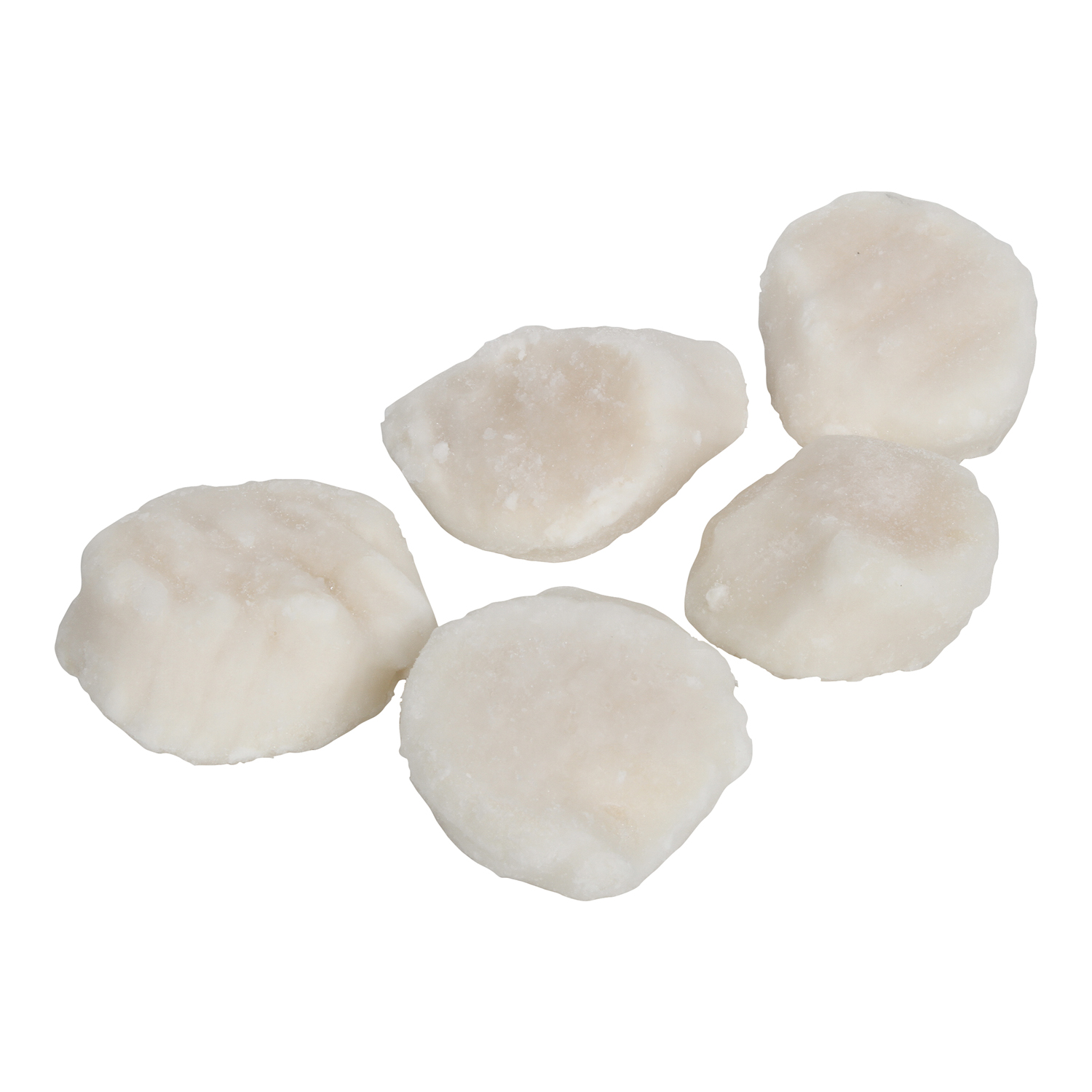 American Pride Seafoods Individual Quick Frozen Water Added Wild Sea Scallop, 85111, 5 Pound -- 2 Per Case