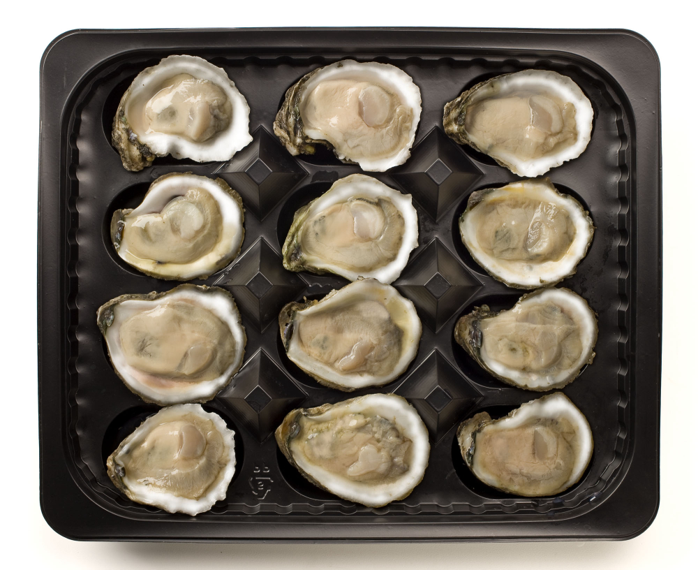 Seafood Brassiere, open Oysters with lemon. Isolated, white
