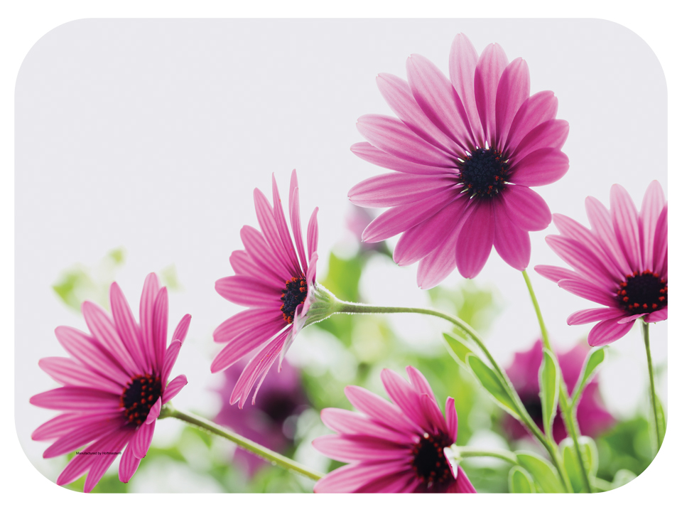 Hoffmaster Bright Daisy Bright Daisy Paper Traymat, 13.625 x 18.75 inch