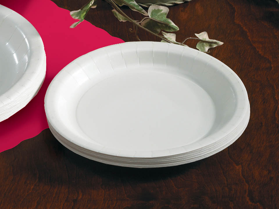Smith Lee White Rigideep Paper Plate, 7 Inch, 125 Count -- 8 Per Case