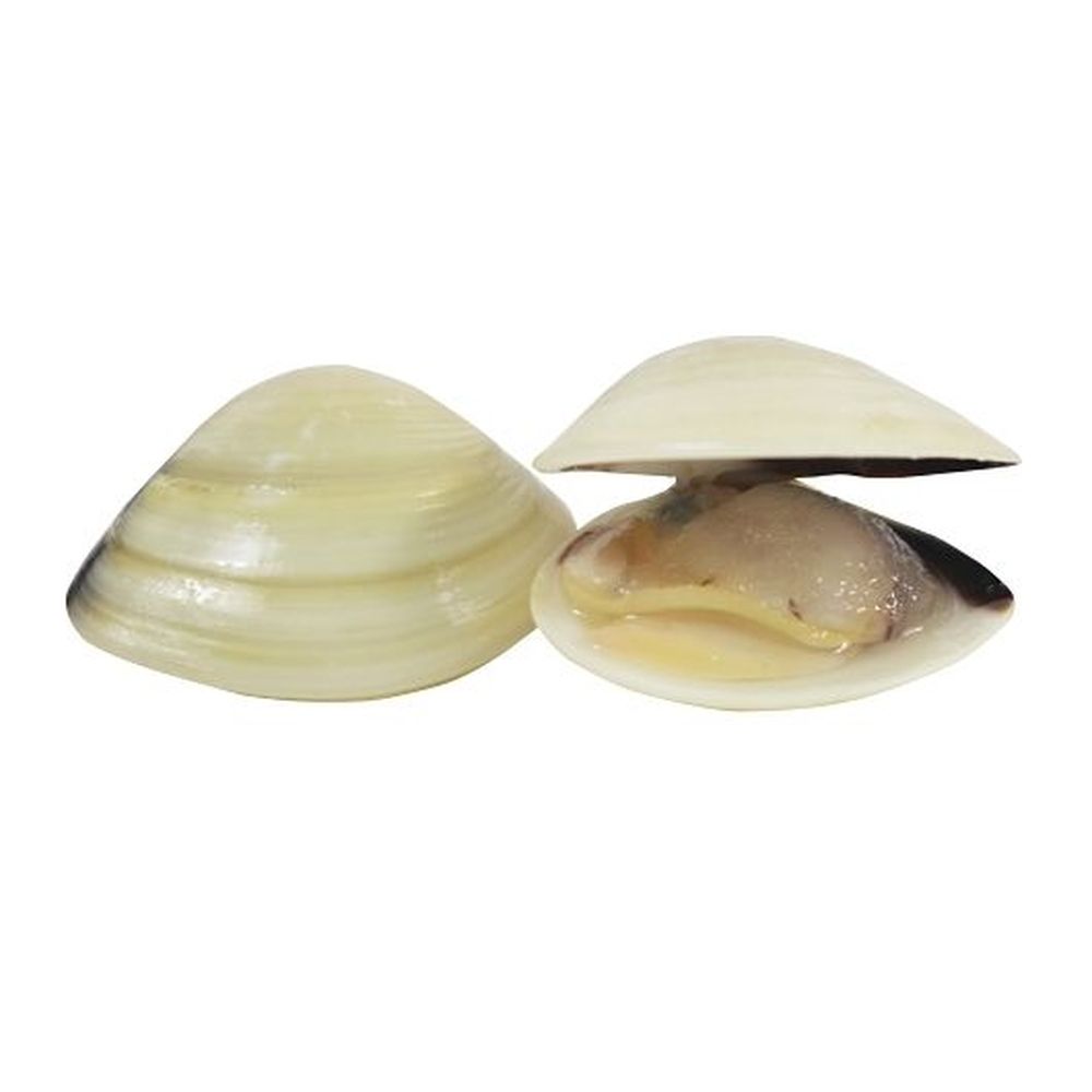 Product gallery 381088095