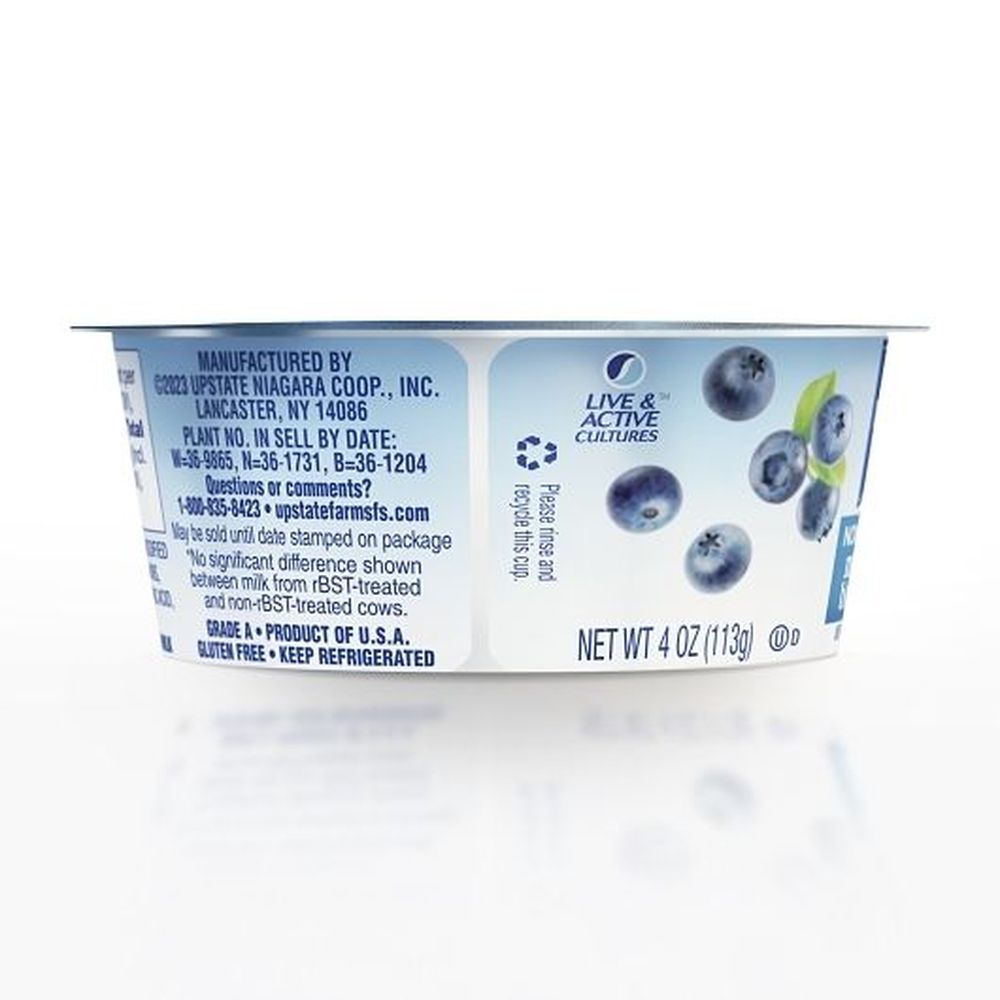 Upstate Farms Nonfat Mountain Blueberry Yogurt, 4 Ounce -- 48 Per Case