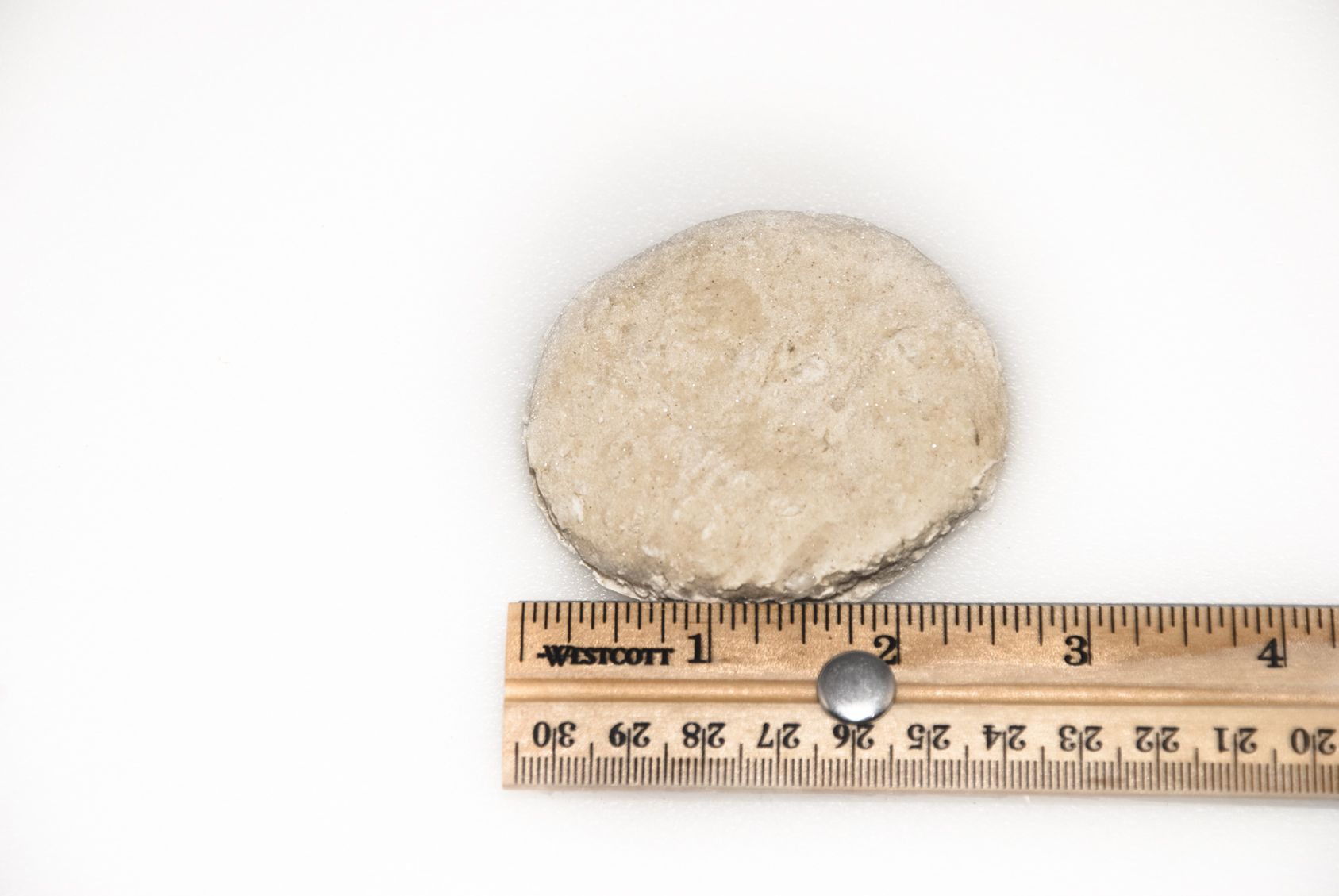 Product gallery 10841956