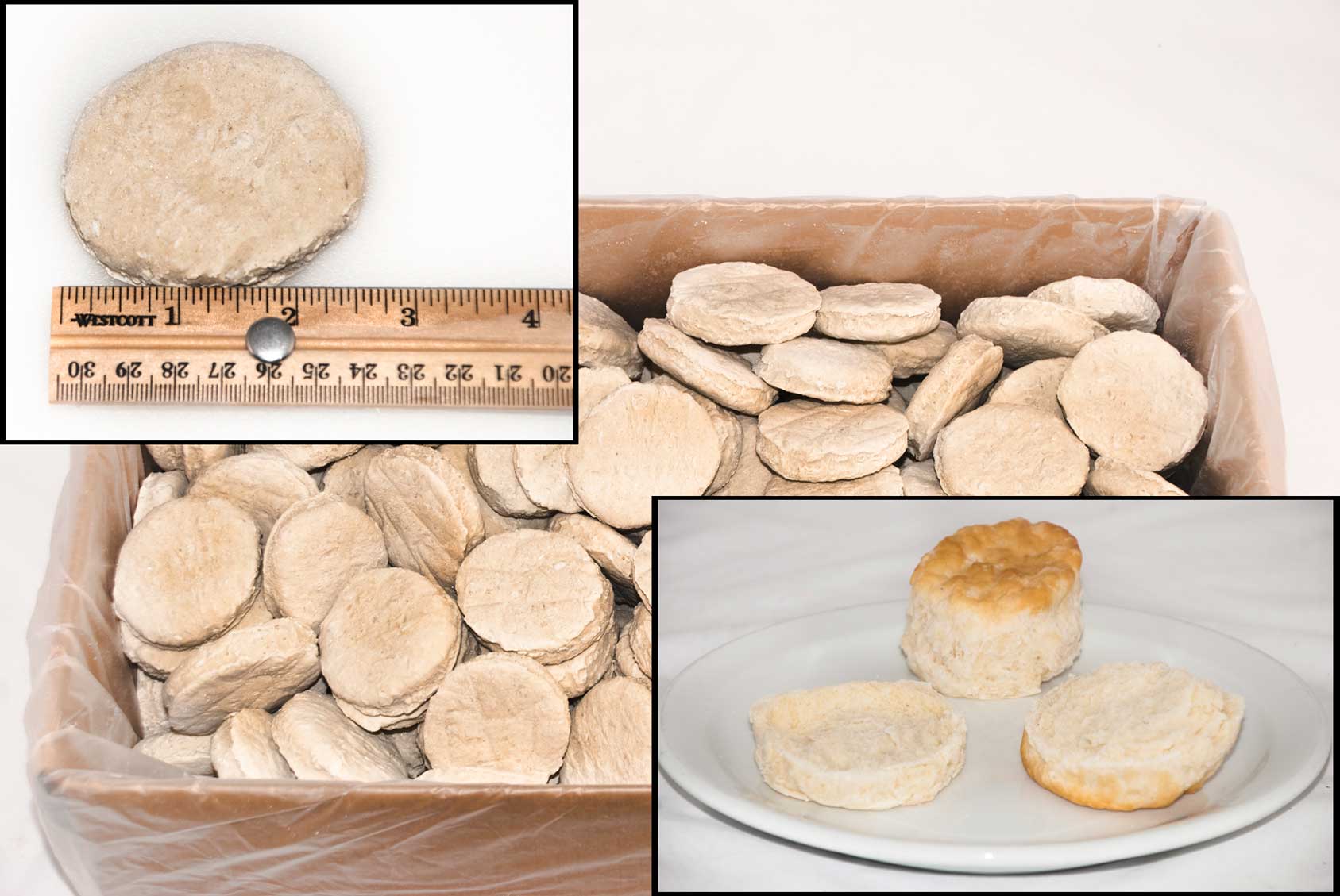Product gallery 12556954