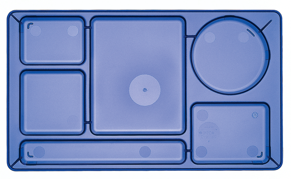 Cambro Camwear Translucent Blue Polycarbonate 2 X 2 Six Compartment School Tray, 15 X 8 3/4 Inch -- 24 Per Case