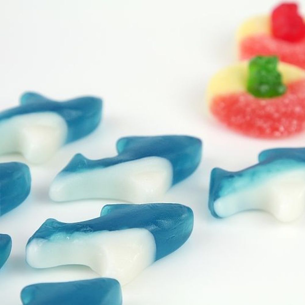 Albanese Blue Gummi Sharks, 5 Pound -- 4 Per Case