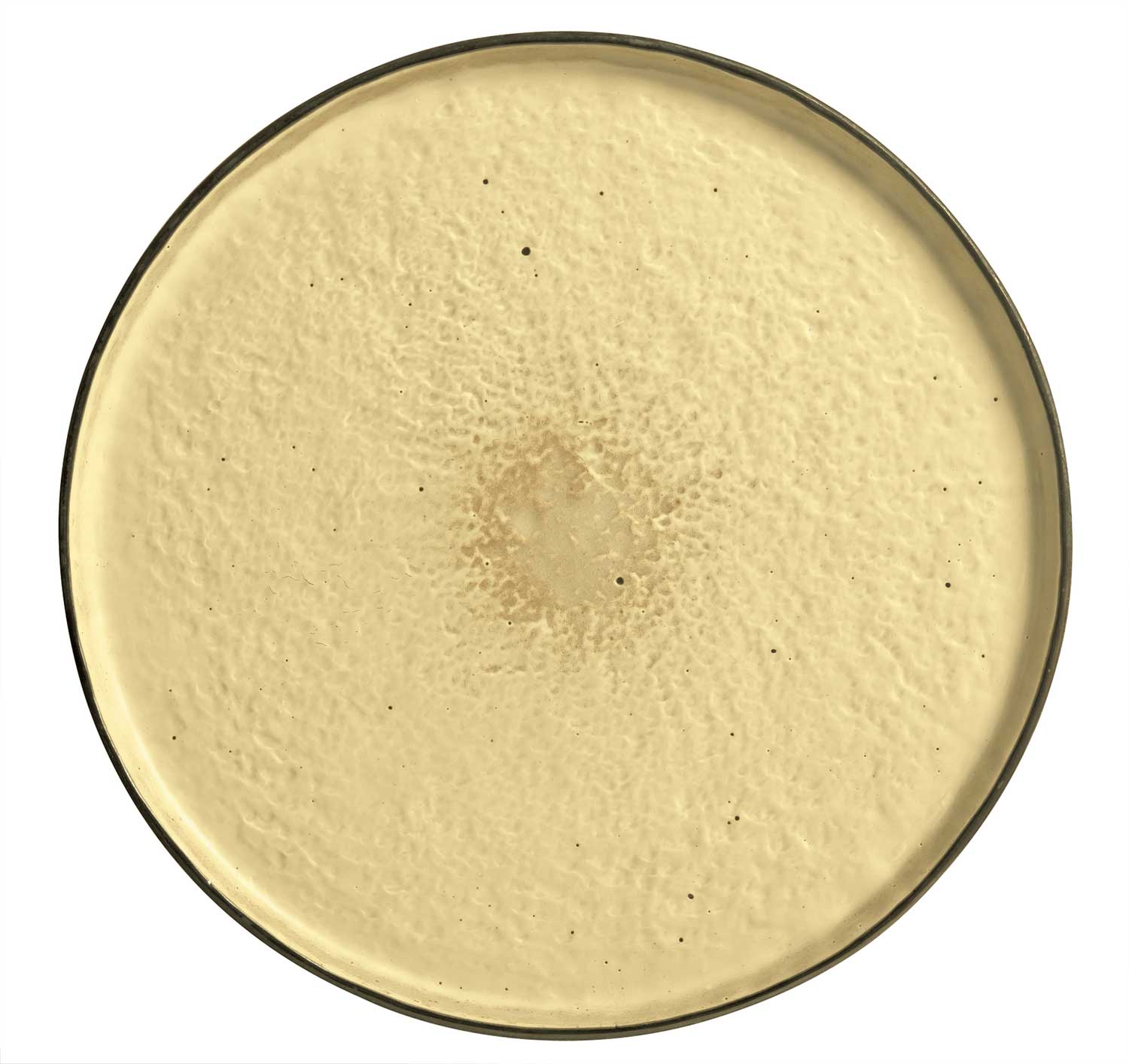 World Tableware Inc Los Ranchos Yellow with Speckles Tray, 10 inch