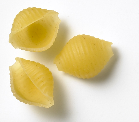 Dakota Growers Small Shells Pasta, 10 Pound -- 2 per case