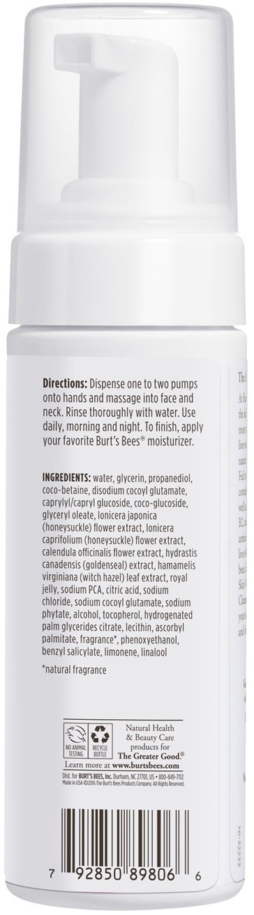 Burt's Bees Skin Nourishment Gentle Foaming Cleanser, 4.8 Ounce -- 12 Per Case