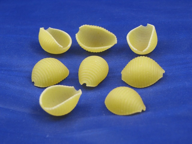 Ravarino & Freschi Medium Shell Pasta, 10 Pound -- 2 Per Case