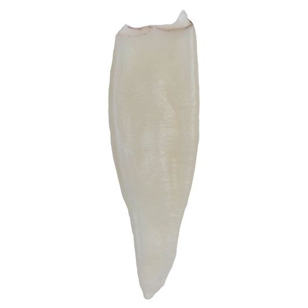 Panapesca Fully Cleaned Calamari, 2.5 Pound Tube -- 4 Per Case