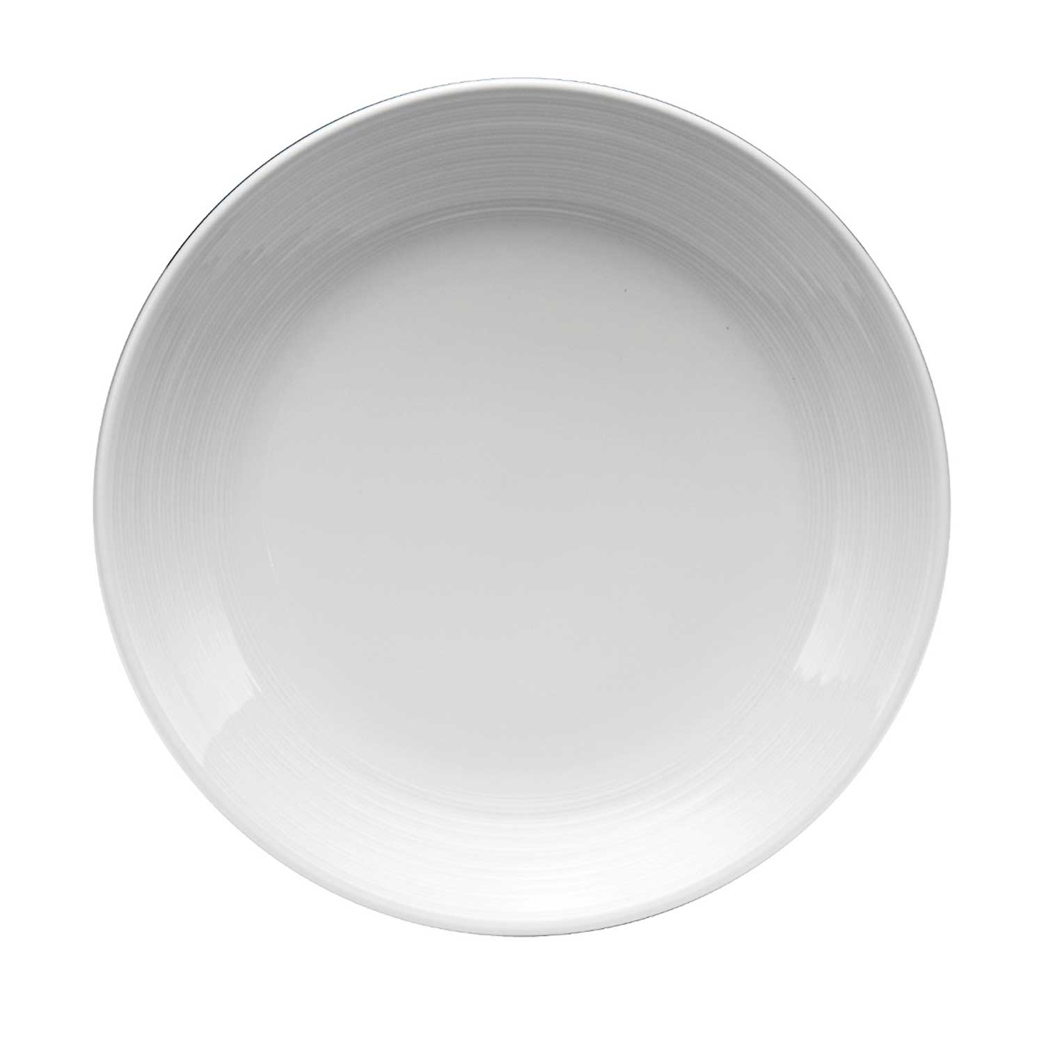 Oneida Sant Andrea Botticelli Fine Porcelain Coupe Plate, 10.5 Inch -- 12 Per Case