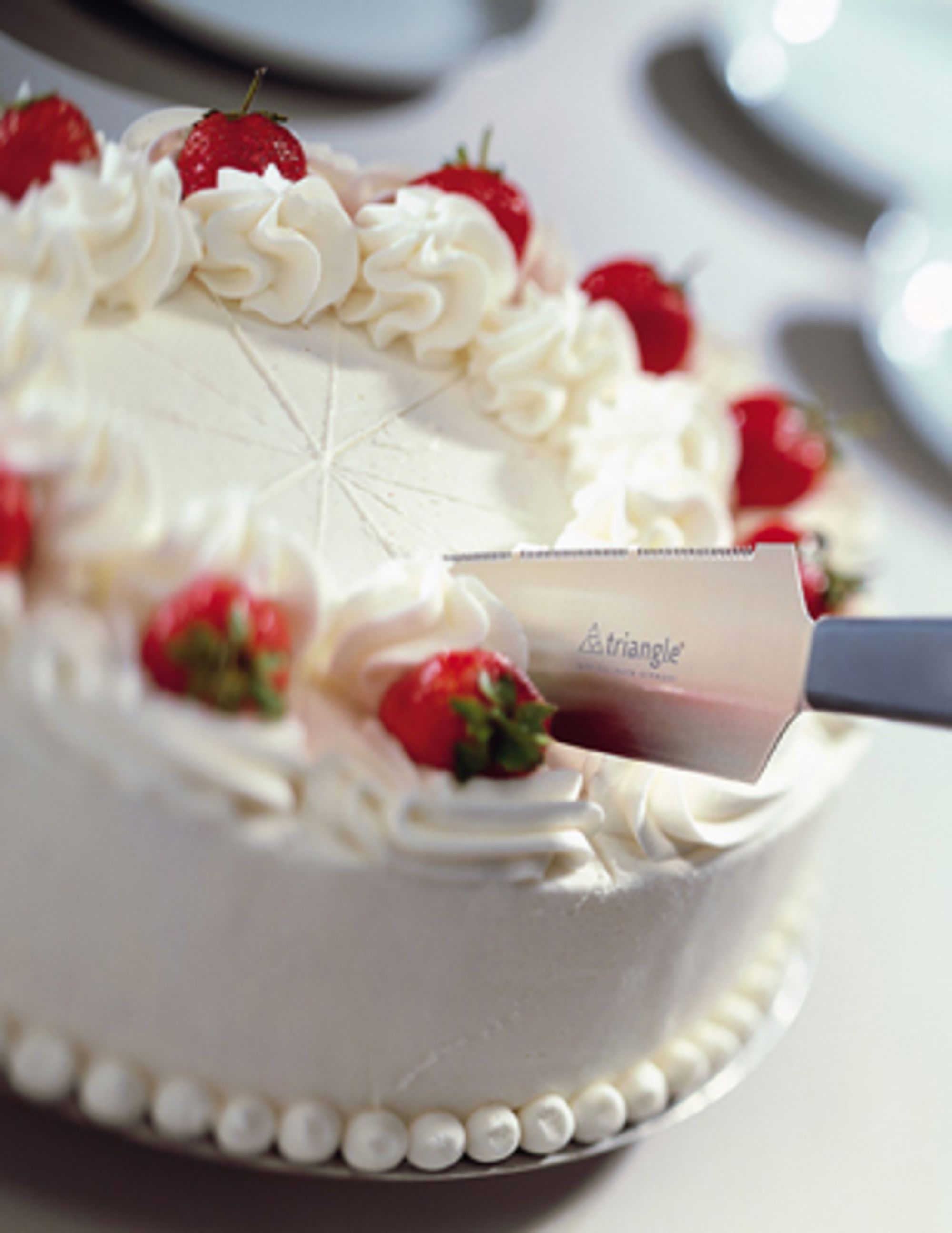 Product gallery 384857434
