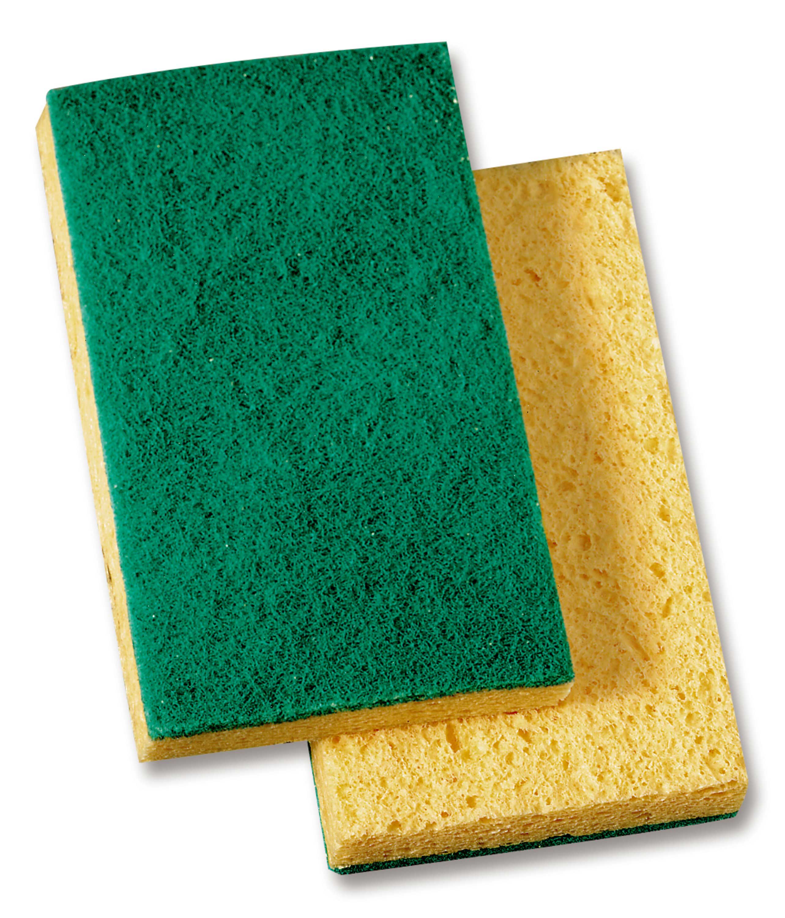 3m 6x3.5 Niagara Scouring Sponge, 20 Count